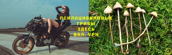 гидра Аркадак